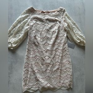 Embroidered lace dress